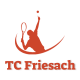 TC Friesach